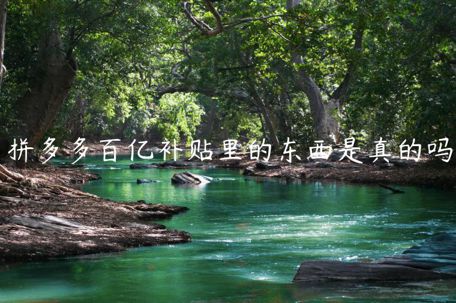 拼多多百億補(bǔ)貼里的東西是真的嗎